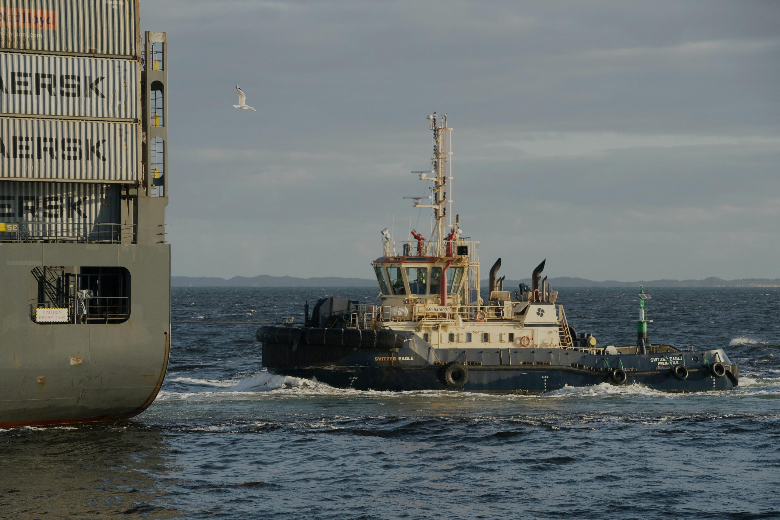 A harbour tug working alongside a cargo ship.